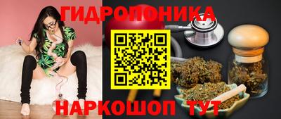 шишки Малоярославец