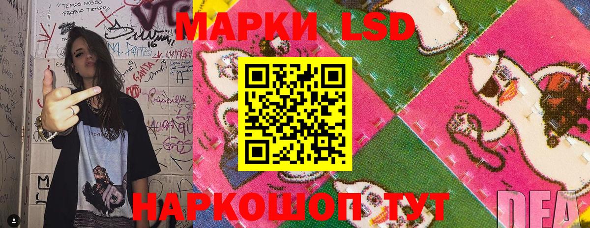 Волжск  Наркотические марки 1,5мг  Вход с VPN  сколько стоит  Наркотические марки 1,5мг 