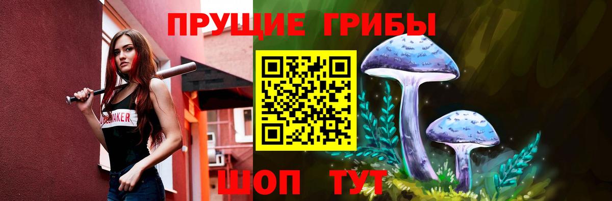 Псилоцибиновые грибы Psilocybe Волжск