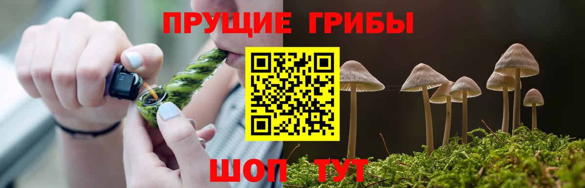 Псилоцибиновые грибы Magic Shrooms  Вход с VPN  цена наркотик  Волжск 